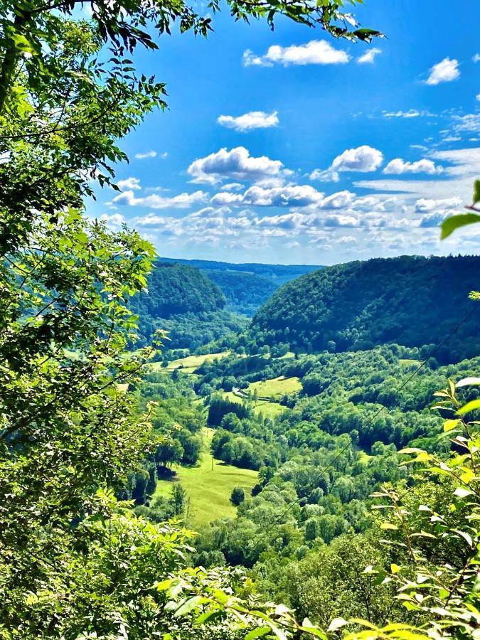 Gite Des Reculees Ladoye-sur-Seille Экстерьер фото