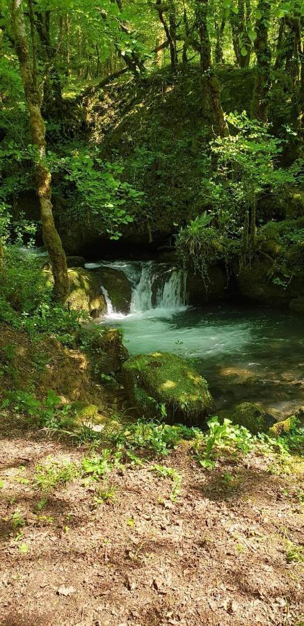 Gite Des Reculees Ladoye-sur-Seille Экстерьер фото